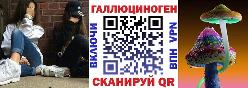 Псилоцибиновые грибы MAGIC MUSHROOMS  Купить  Нерчинск 